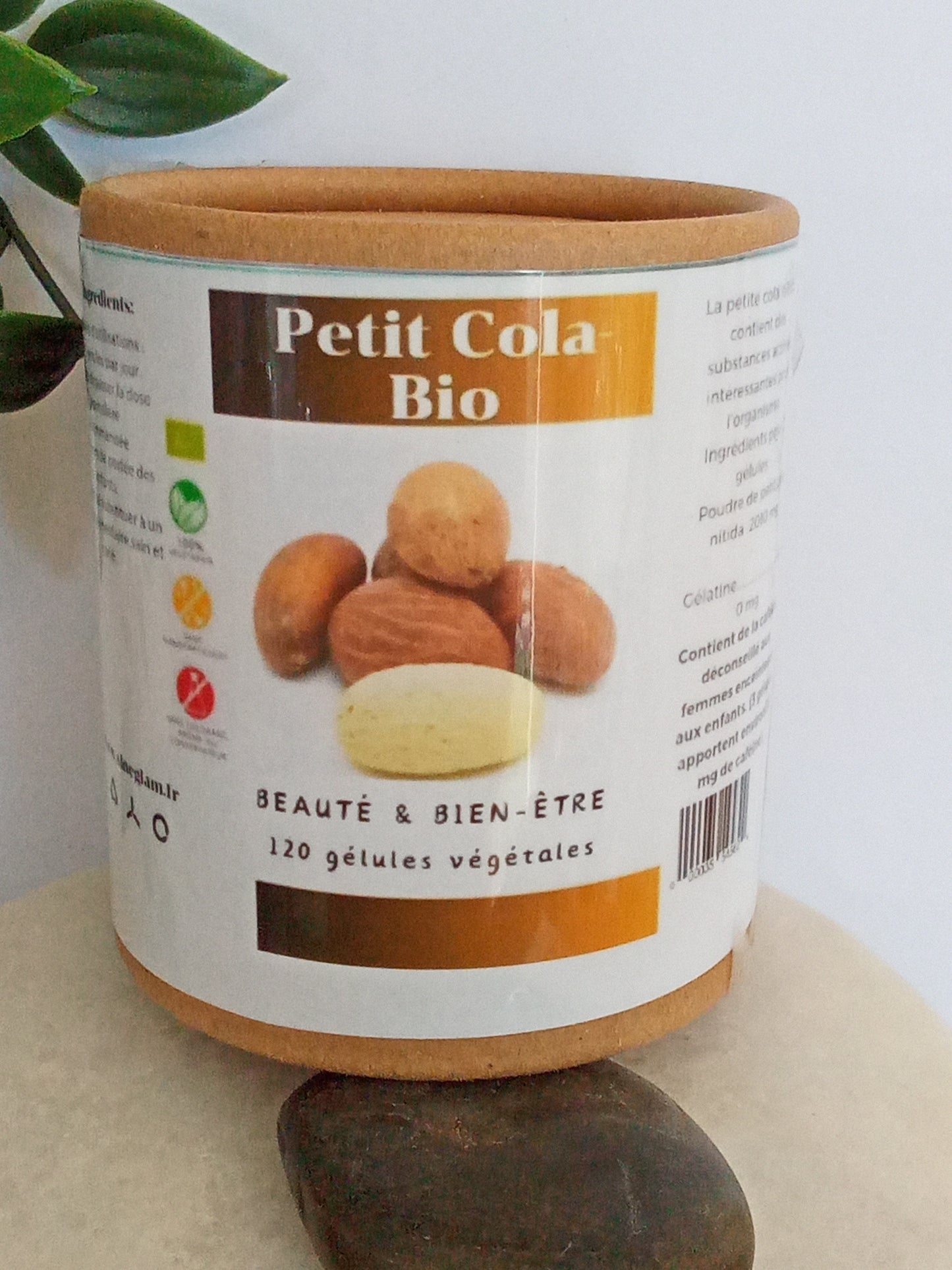 Gélules Petit Cola (Garcinia Kola)100g- Tonifiant Naturel, Coupe-Faim & Aphrodisiaque Bio- Améliorez Votre Bien-Être et Énergie au Quotidien ! 120 Gélules