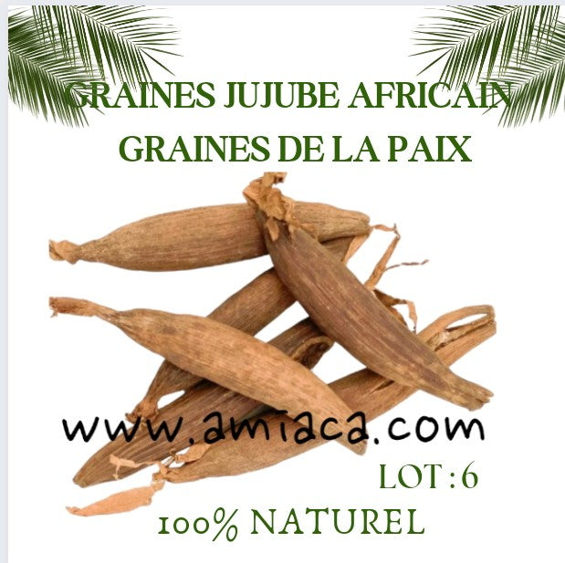 Lot 6 Jujube graines de paix protection spirituelle