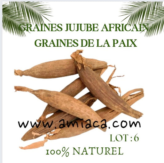 Lot 6 Jujube graines de paix protection spirituelle