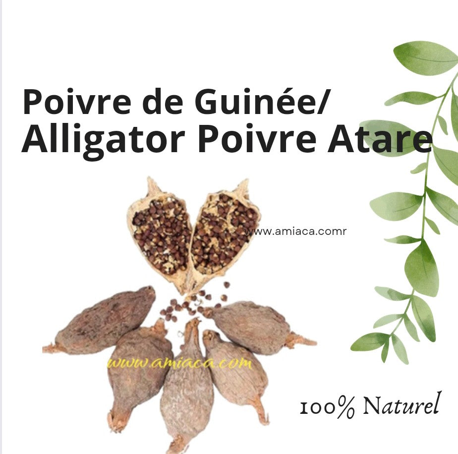 Gousse de Poivre de Guinée / Piment de Guinée / Poivre d’alligator ( LOT 5 )